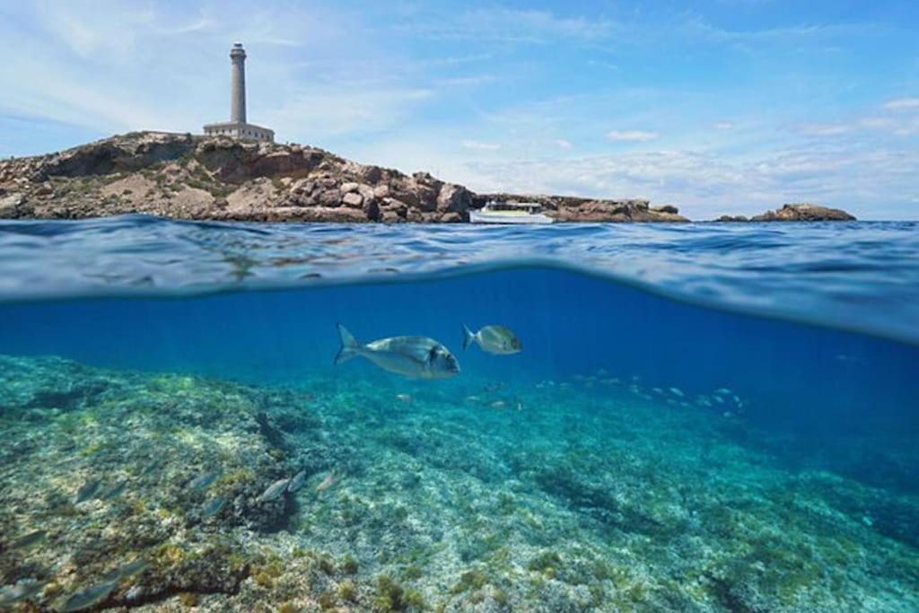Apartamento Primera Linea La Manga Exterior foto